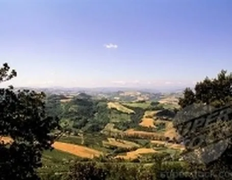 Un panorama del Cesenate 