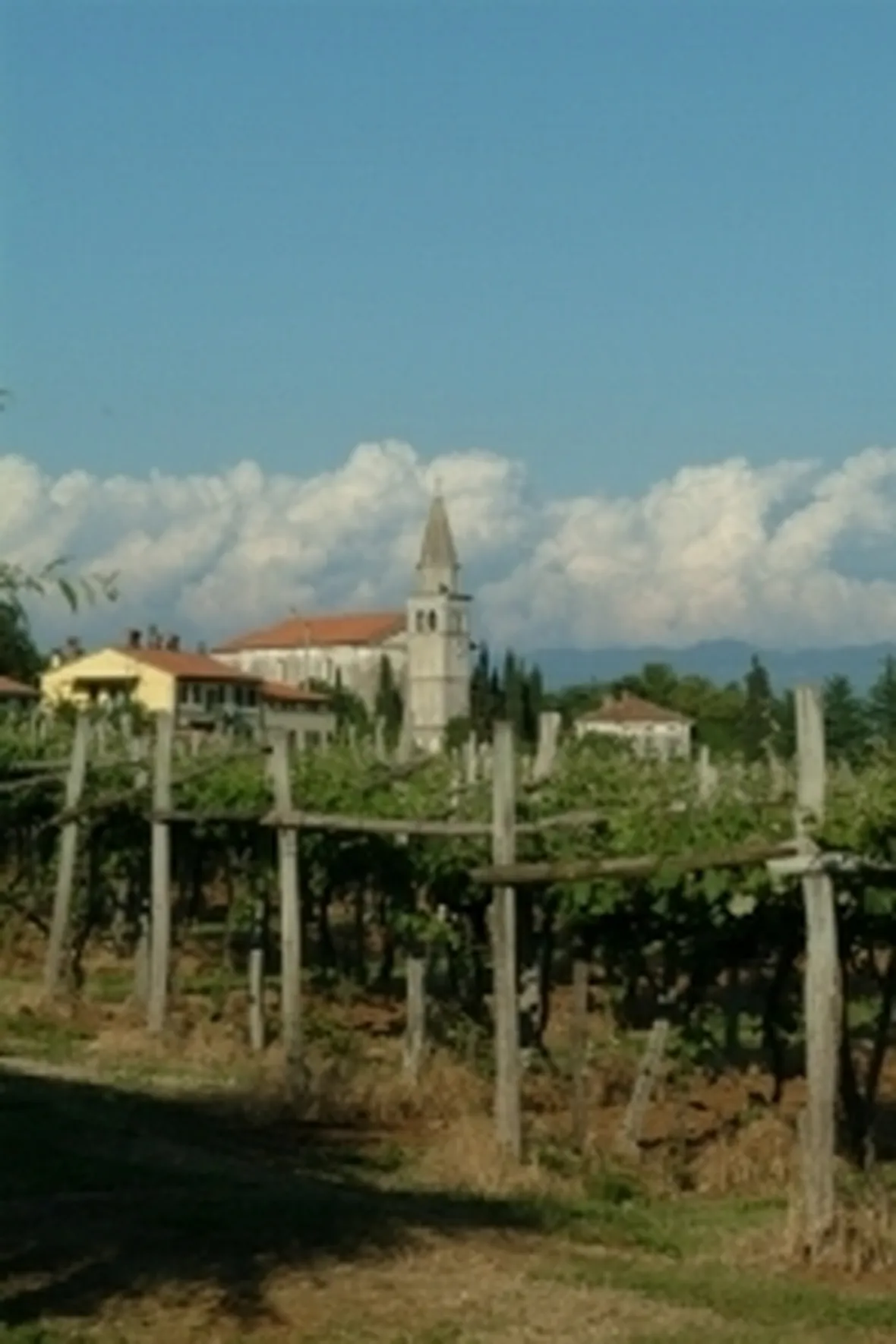 La zona del Carso