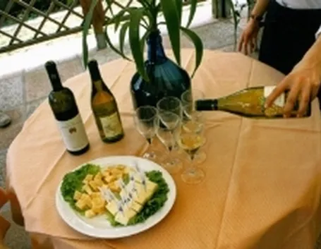 Un Tocai del Collio