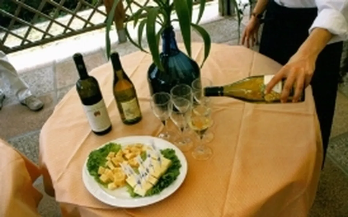 Un Tocai del Collio