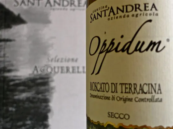 Moscato di terracina doc
