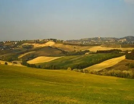 I colori del vino