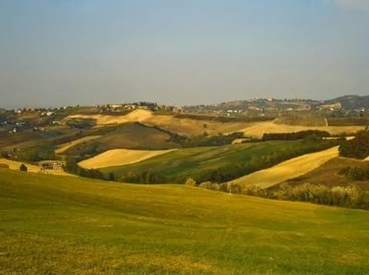 I colori del vino