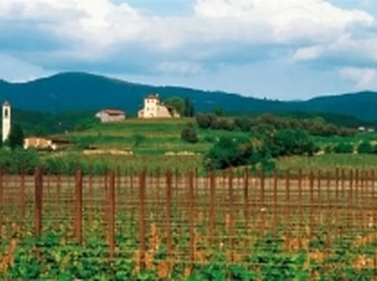 L'autunno in Valcalepio