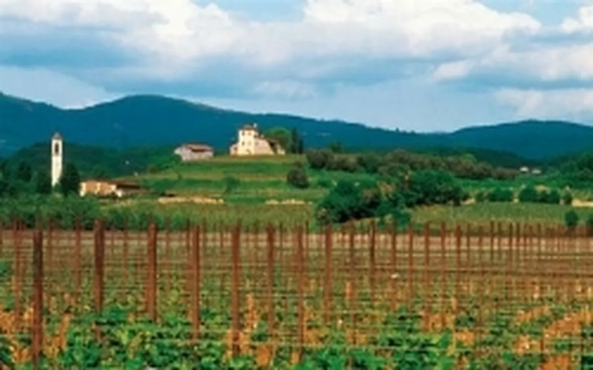 L'autunno in Valcalepio
