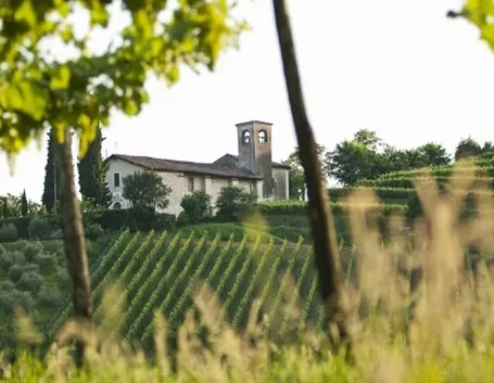 Uno scorcio della Franciacorta