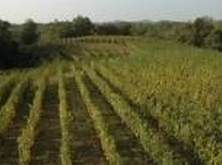 La Piana delle Colline Novaresi