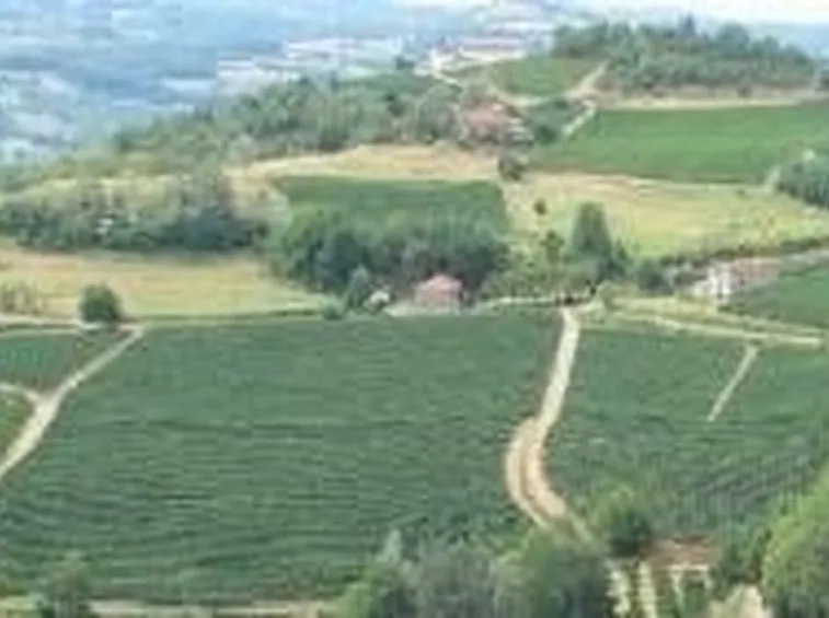 Le colline di Loazzolo