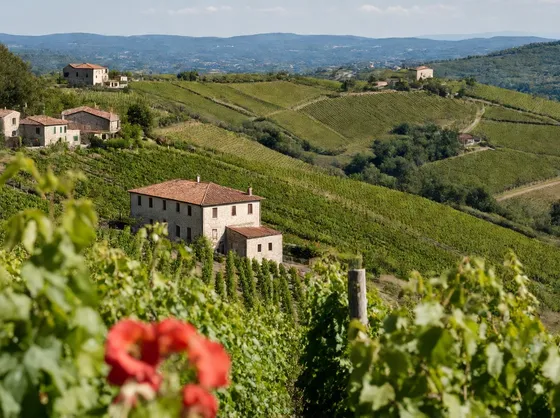 Colline nel Monferrato