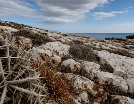 La costa sud Occidentale della Sicilia