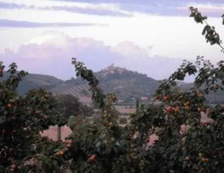 Il panorama di Capalbio