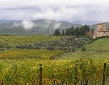 le Colline del Chianti