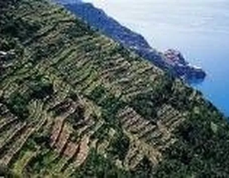 I terrazzamenti