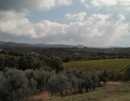 Il dolce panorama delle Colline Lucchesi