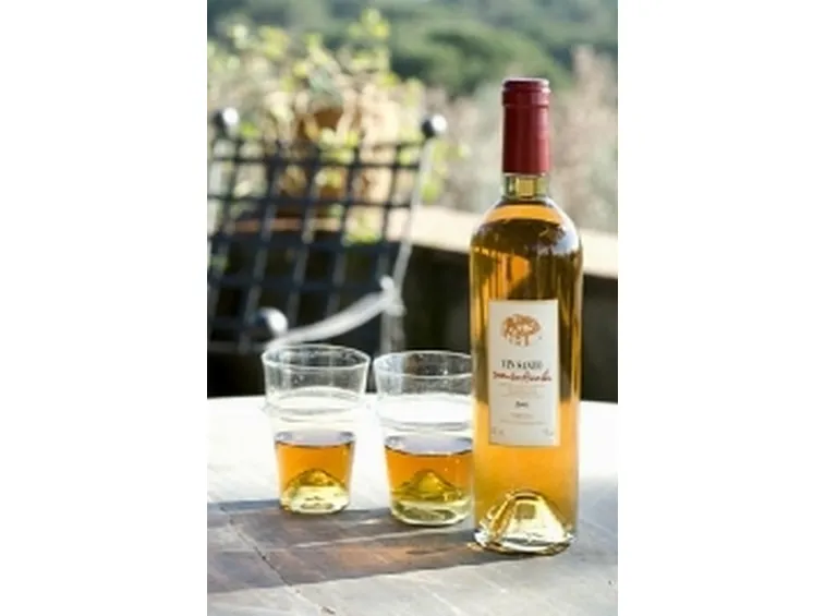 I colori del Vin Santo