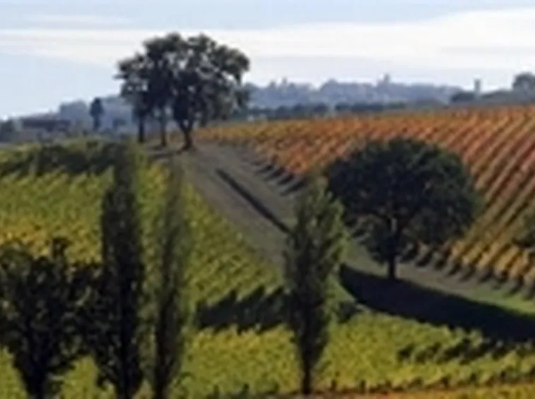uno scorcio dei Colli