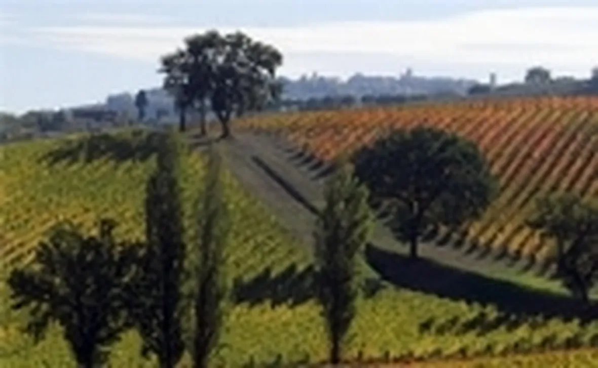 uno scorcio dei Colli