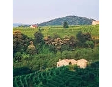 Le terre del Prosecco