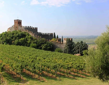 Soave e i suoi vigneti