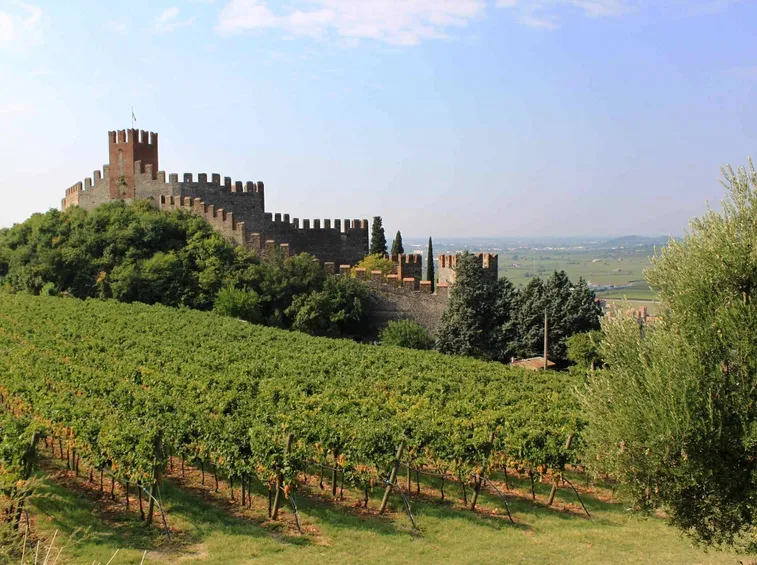 Soave e i suoi vigneti