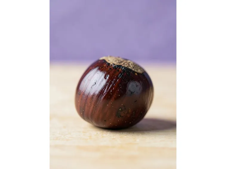 le castagne, uno degli alimenti più antichi