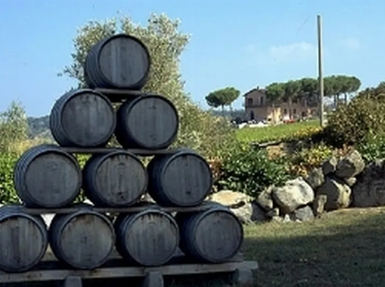 botti lazio