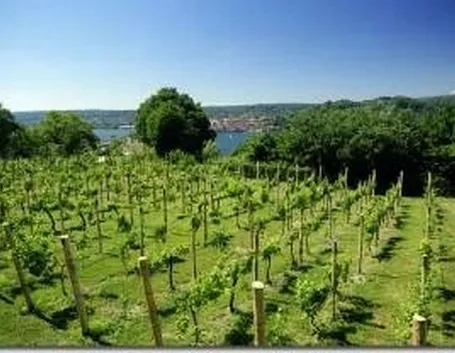 vino lombardia