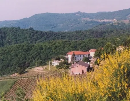 vino rosso pemontese