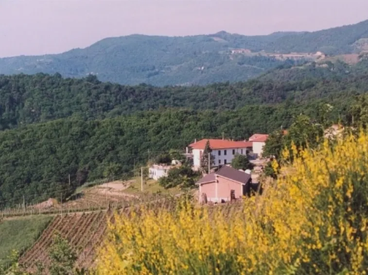 vino rosso pemontese
