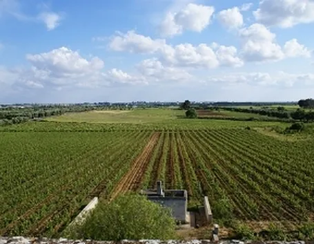 http://farm2.static.flickr.com/1048/728697323_fe495399b0.jpg