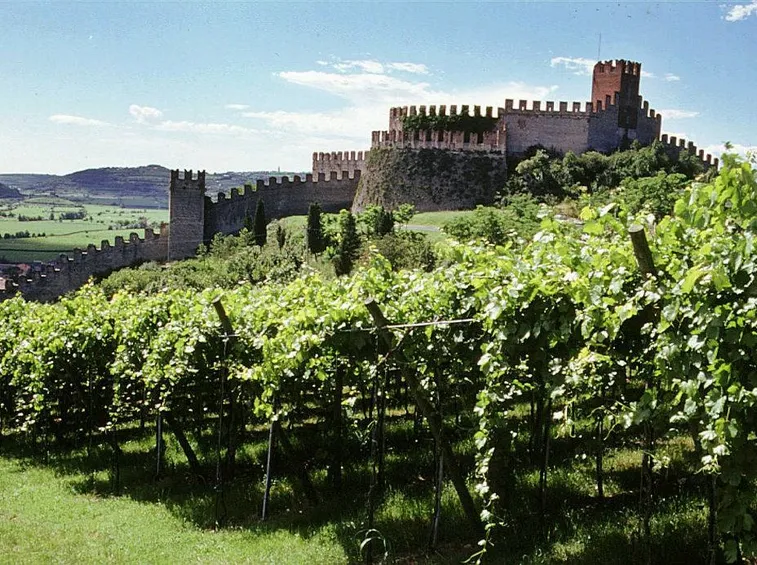 Vigneti della Valpolicella