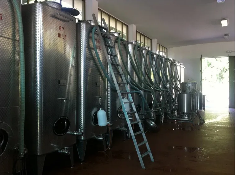 Autoclavi per la produzione di Bonarda
