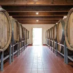 Perché l'Aglianico del Vulture è un rosso da tavola d'autunno