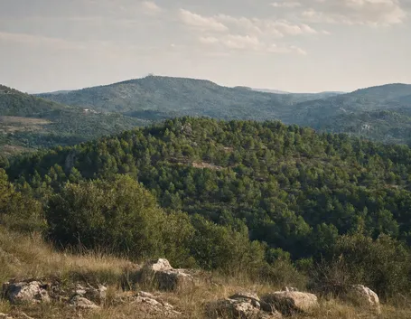 Le dolci colline della Sila