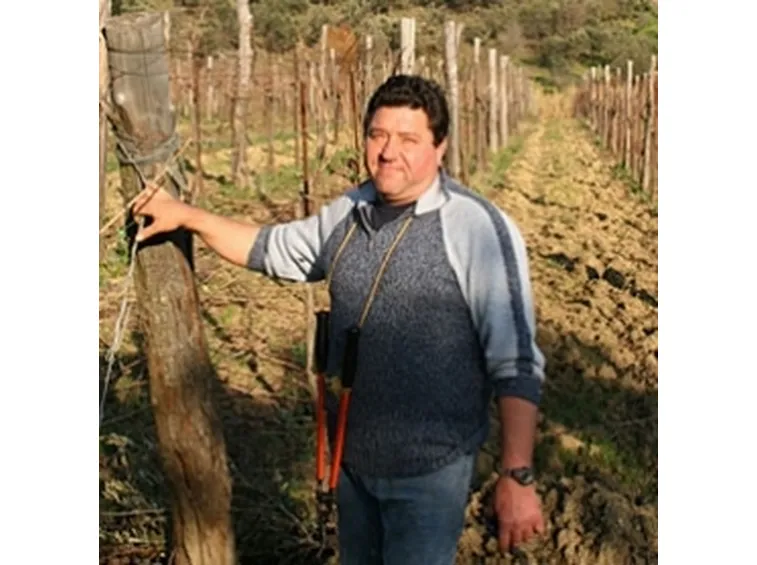 Vigneti del Solopaca