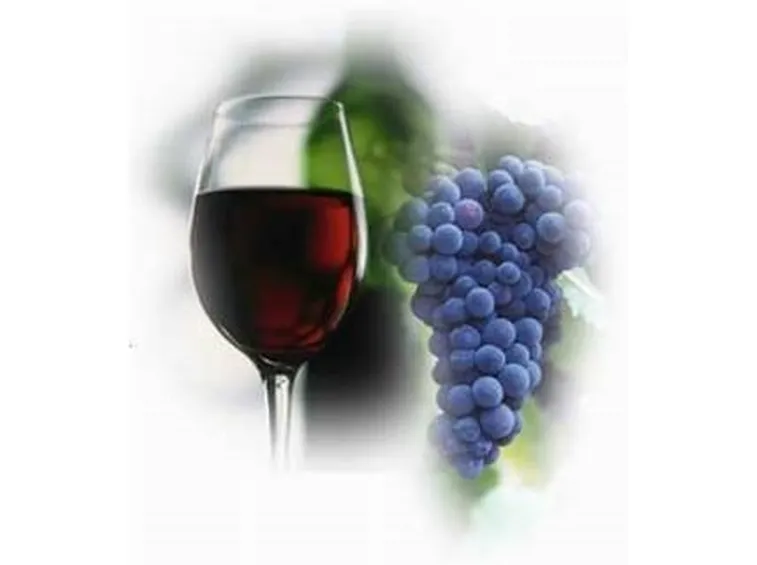 I colori di questo vino