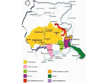 vini friuli