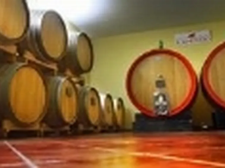 Botti di invecchiamento