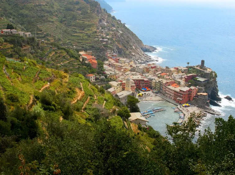 Vigneti terrazzati sulla riviera