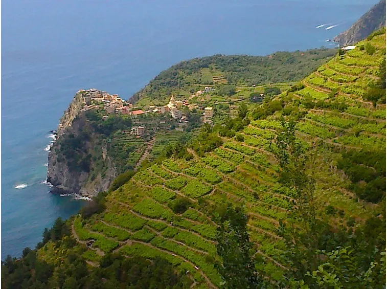 Vigneti in provincia di La Spezia