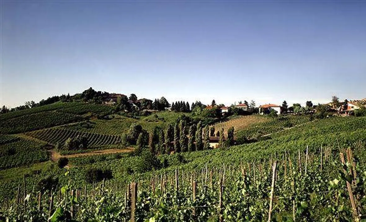 oltrepo pavese
