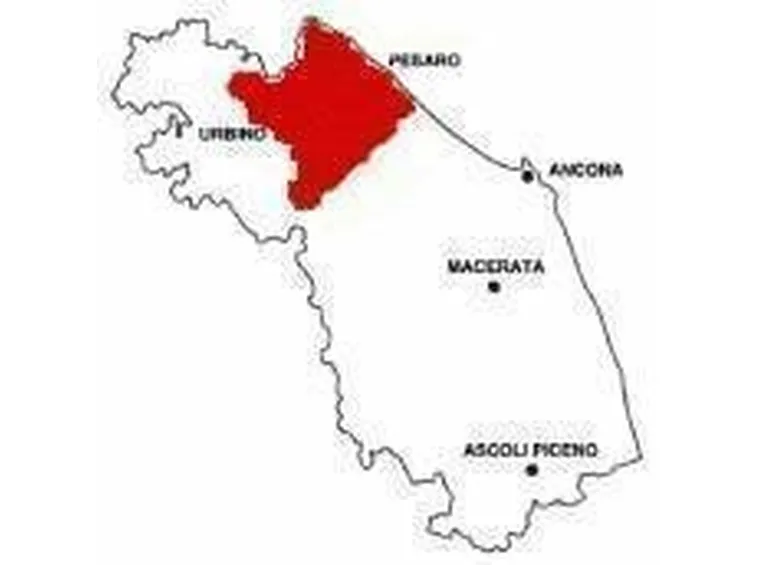 L'area di produzione del Colli Pesaresi