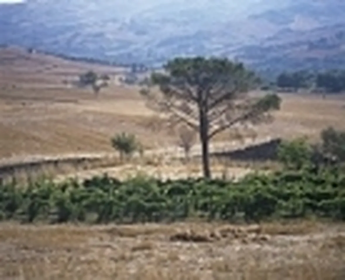 La terra del Biferno