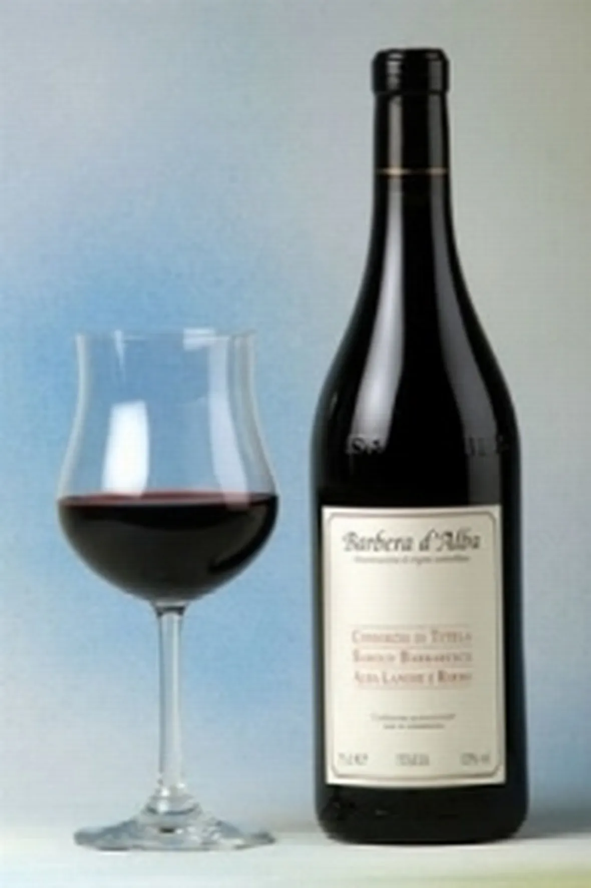 barbera d alba