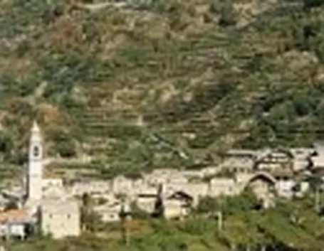 canavese