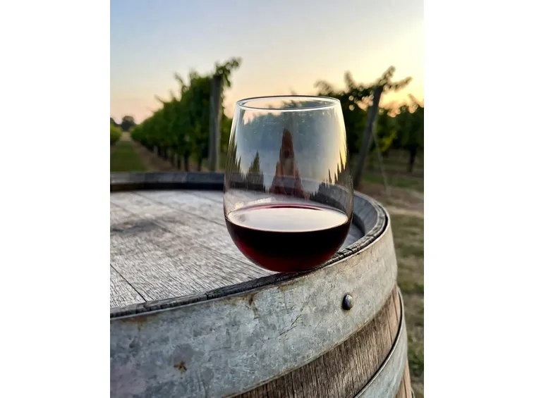 http://www.gardeningincollina.com/images/bicchiere_vino.jpg