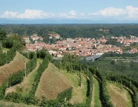 http://4.bp.blogspot.com/_WmdOiPTWpBY/TUCDJkBZJYI/AAAAAAAAAoA/jRN0hEQubQA/s1600/Gattinara.jpg
