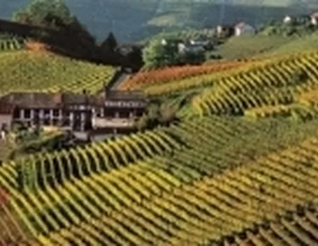 langhe