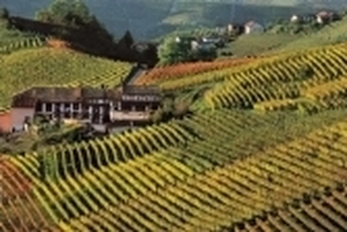 langhe