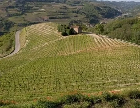 http://www.vinoveritas.it/files/vini-docg-piemonte.jpg
